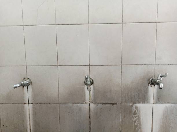Best Water damage restoration near me  in Pinebluff, NC