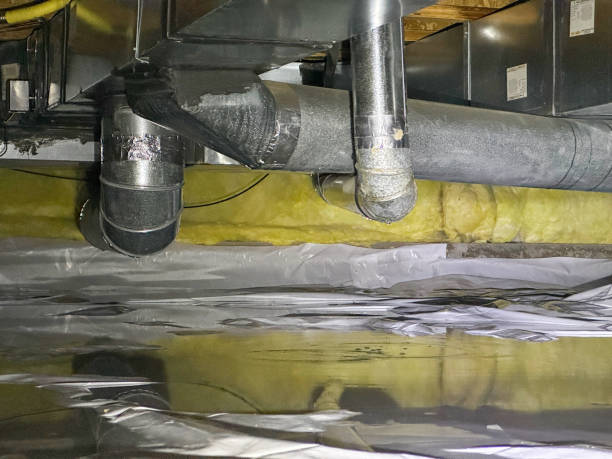 Best Water damage restoration process  in Pinebluff, NC