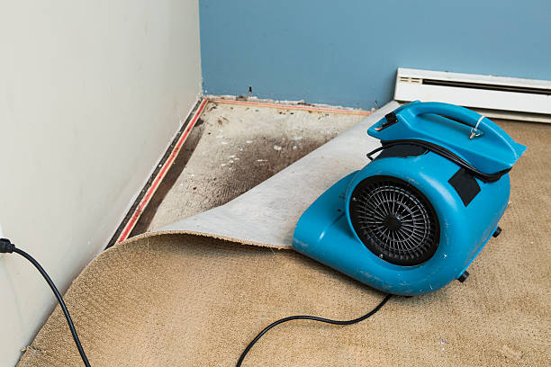 Professional Water damage restoration in Pinebluff, NC